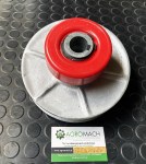 358438861_1009631000208274_669346779907691109_n4